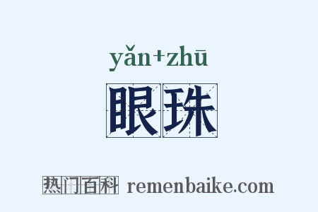 眼珠是什么意思的图片
